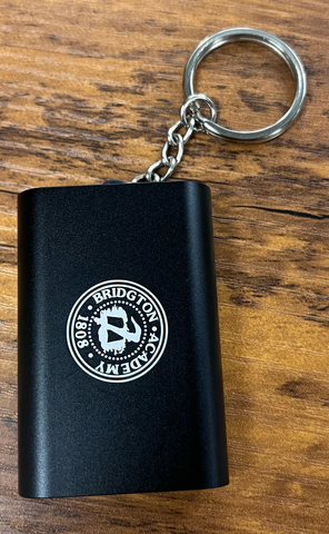 Power bank key chain - BA Paw